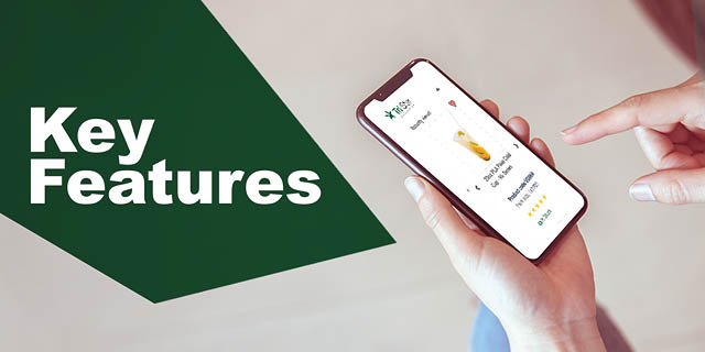 key features