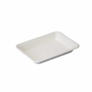 Sustain Bagasse Flat Rectangular Tray - 12oz / 350ml