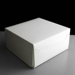 White Compostable 8 x 8 x 3in Cake Box