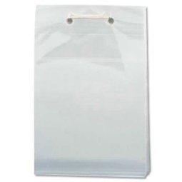 PP025 300MMX350MM NON PERF BAG OPP