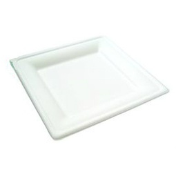 VPSQ-08 8" BAGASSE SQUARE PLATES