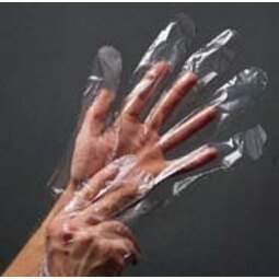 GD52 LARGE CLEAR POLY GLOVES