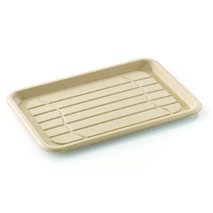 Medium Compostable Pulp Catering Platter