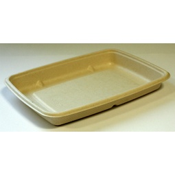 Rectangular Bagasse Tray Salad Container - 590ml (20oz)