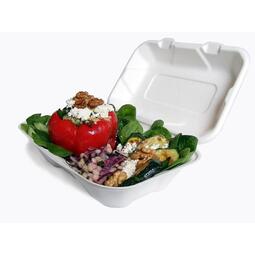 Large Compostable 9 x 6 inch Bagasse Clamshell